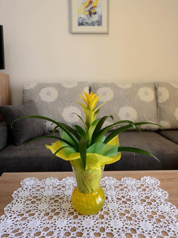 Apartman Adriana Zadar Luaran gambar